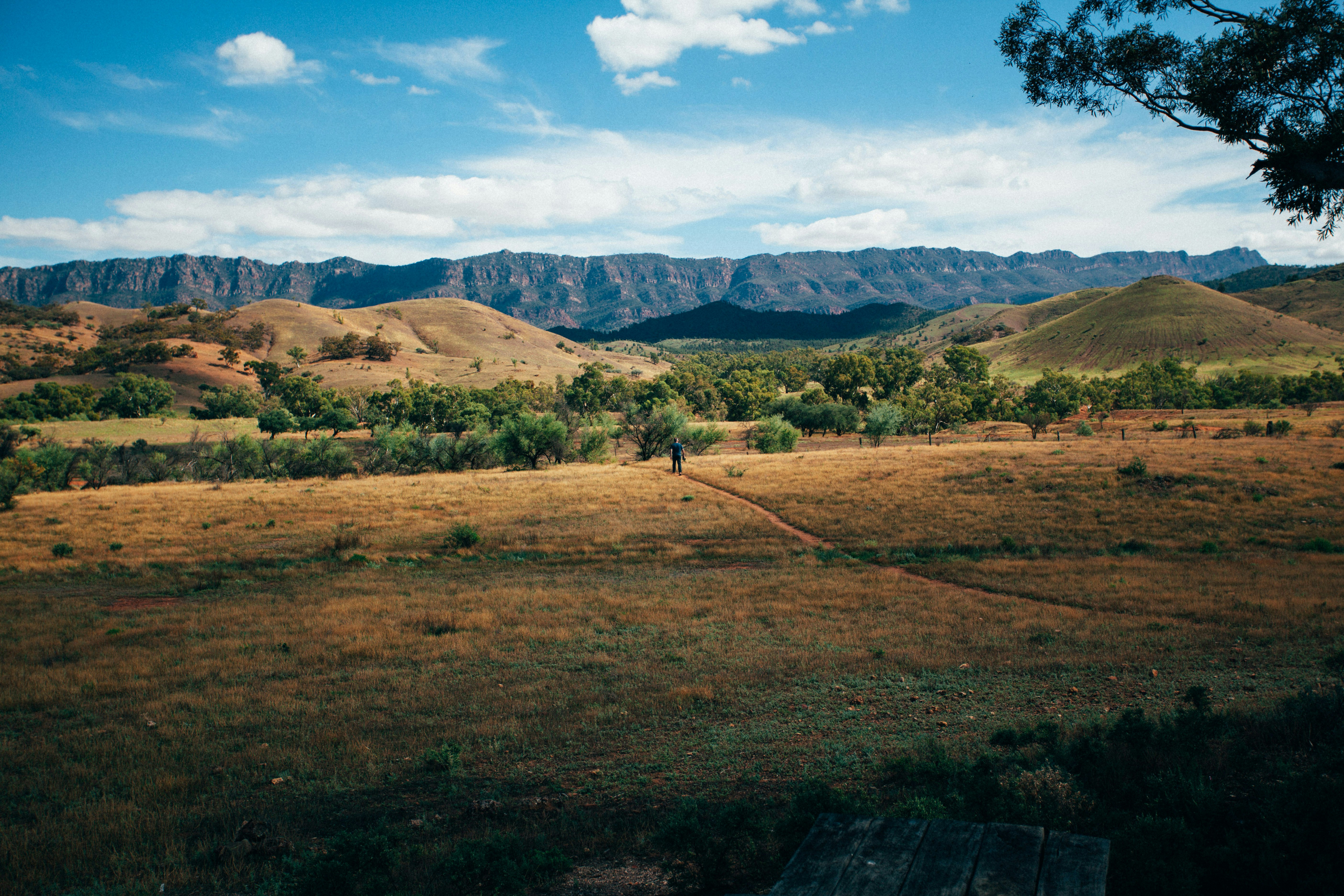 green grass field near mountain under blue sky during daytime